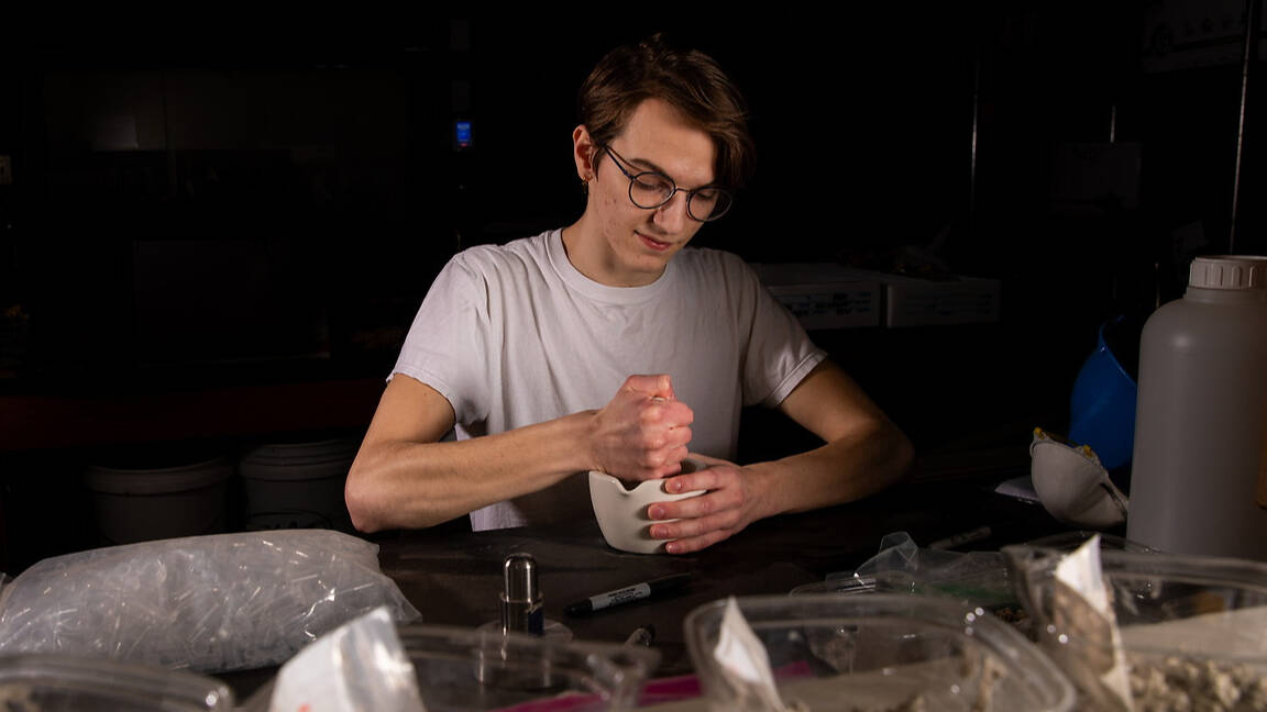 A person wearing glasses is grinding material in a white mortar while several clear containers with similar substances sit on the table.